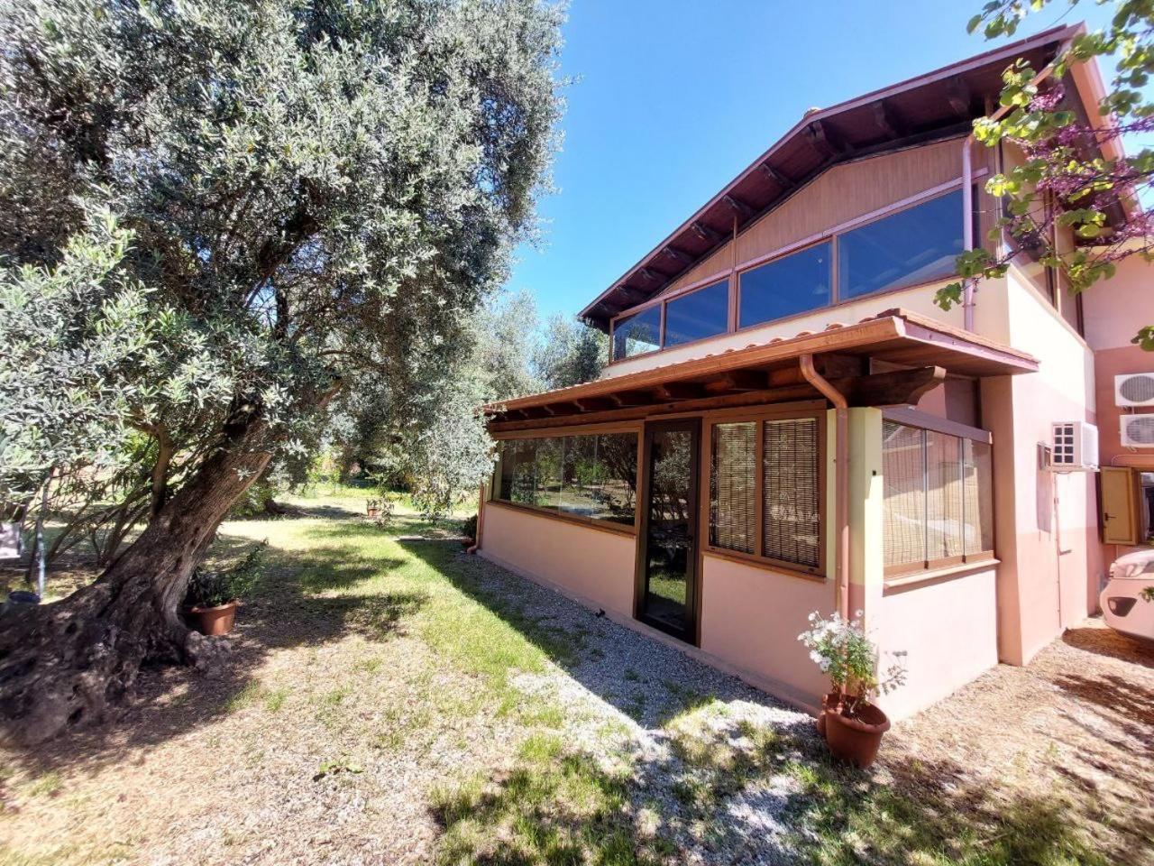 イグレージアスCasa L' Antico Ulivoアパートメント エクステリア 写真