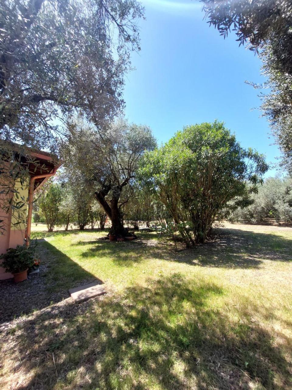 イグレージアスCasa L' Antico Ulivoアパートメント エクステリア 写真
