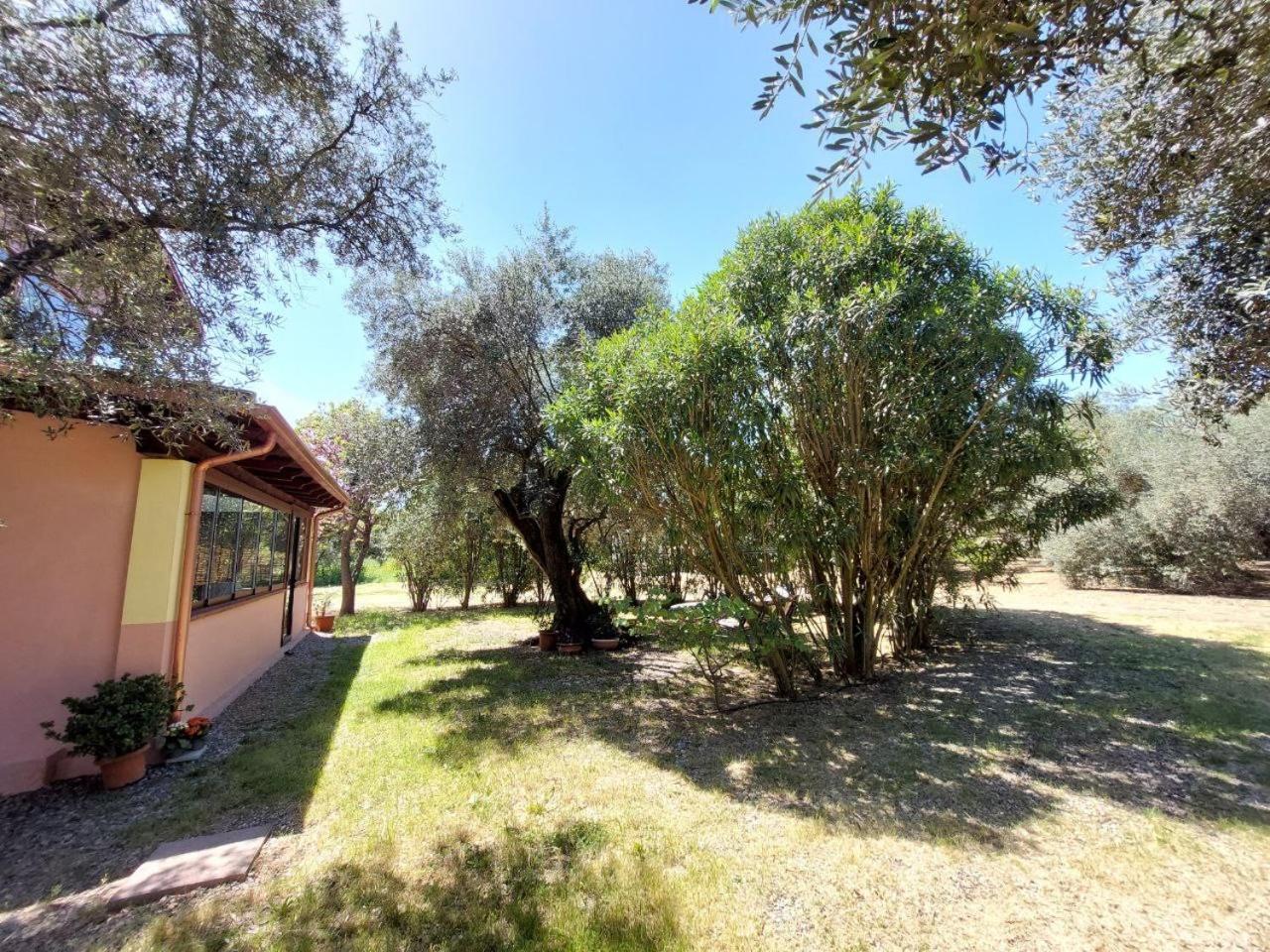 イグレージアスCasa L' Antico Ulivoアパートメント エクステリア 写真
