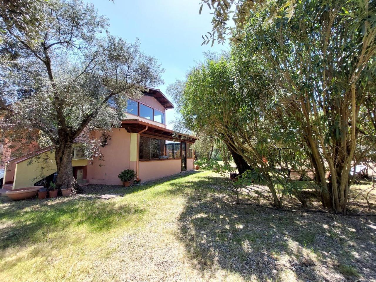 イグレージアスCasa L' Antico Ulivoアパートメント エクステリア 写真