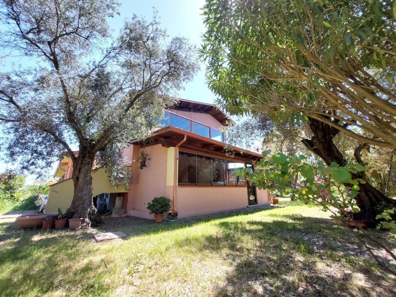 イグレージアスCasa L' Antico Ulivoアパートメント エクステリア 写真
